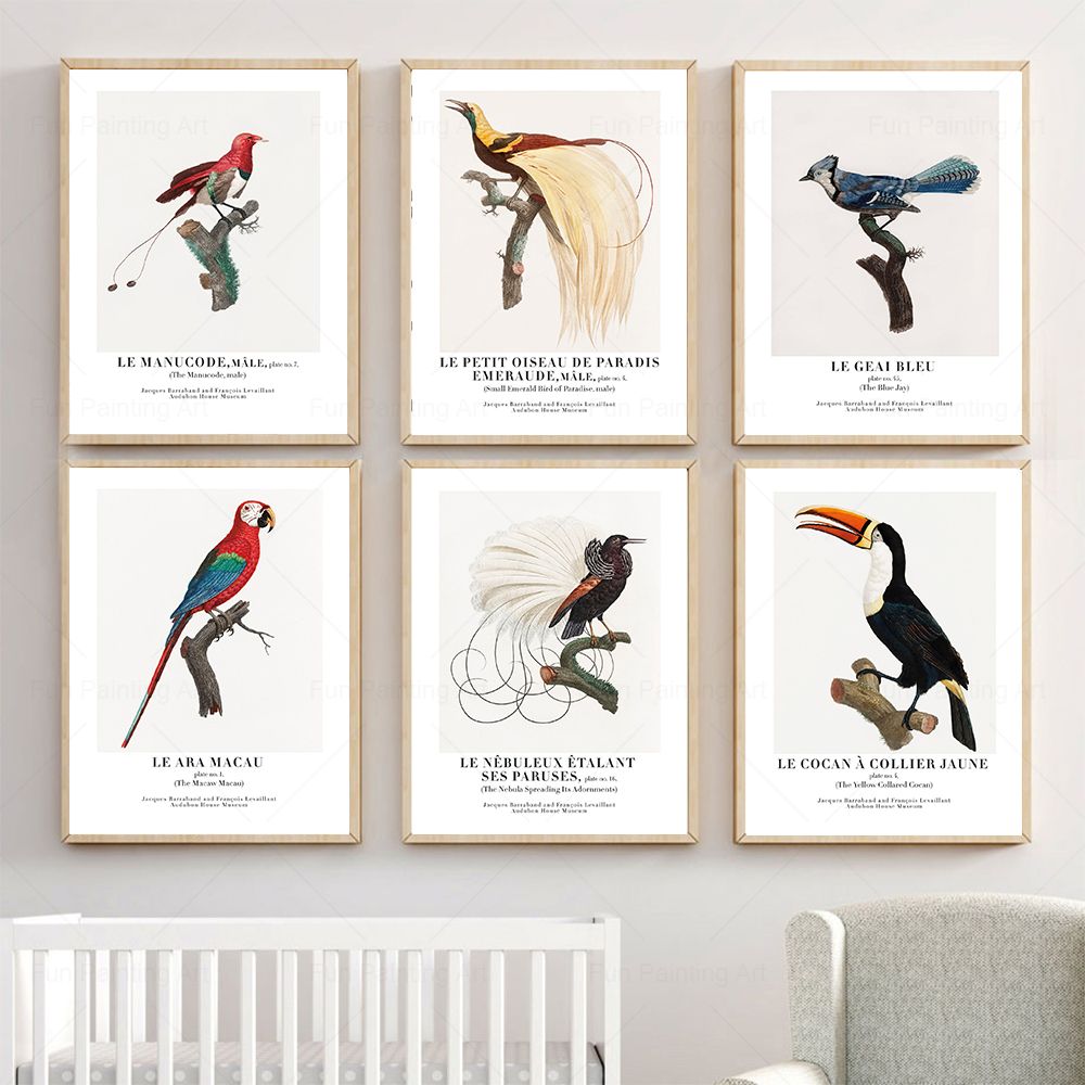 Furniture Paradise & Hardware Ghaziabad Reviews - Vintage Paradise Bird Wall Art Canvas