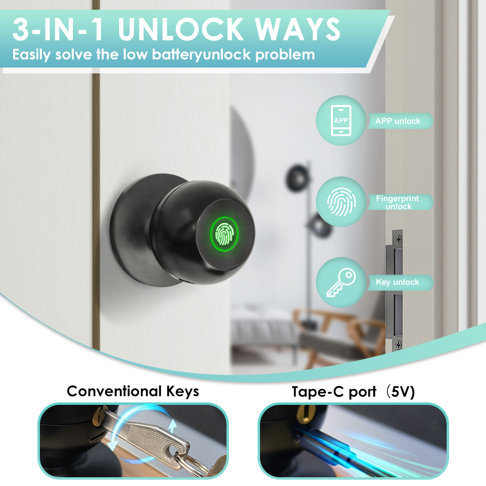 Tuya Electronic Door Lock Smar - Door Handle Bar 评论和价格