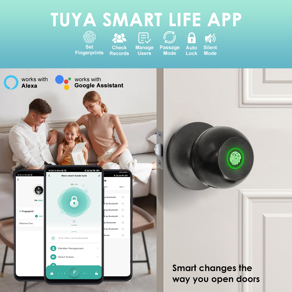 Tuya Electronic Door Lock Smar - Door Handle Bar 评论和价格