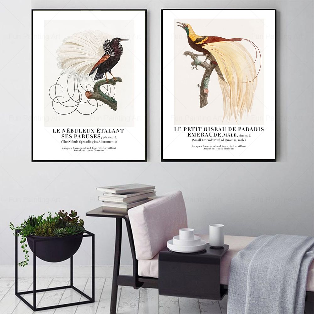Vintage Paradise Bird Wall Art - Furniture Paradise & Hardware Ghaziabad Reviews 评论和价格