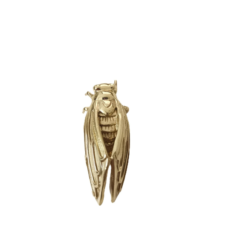 Brass Cicada Hardware Handle B - Unique Furniture Hardware 评论和价格