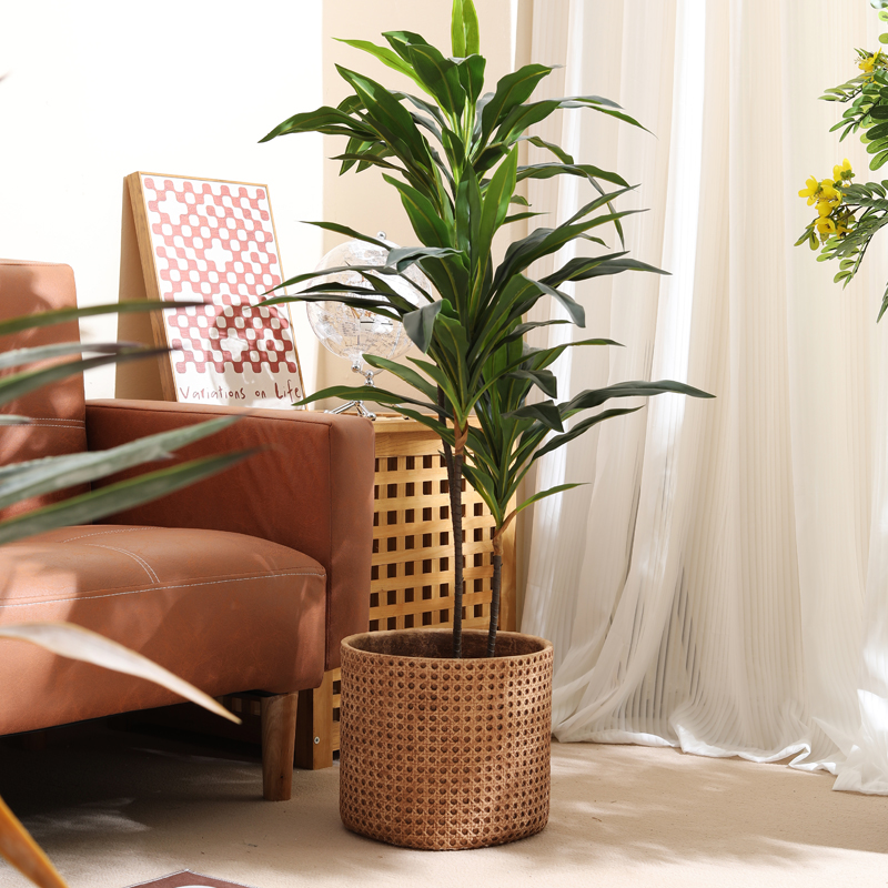 Furniture for small-sized apar - Furniture Paradise & Hardware Ghaziabad Reviews 评论和价格